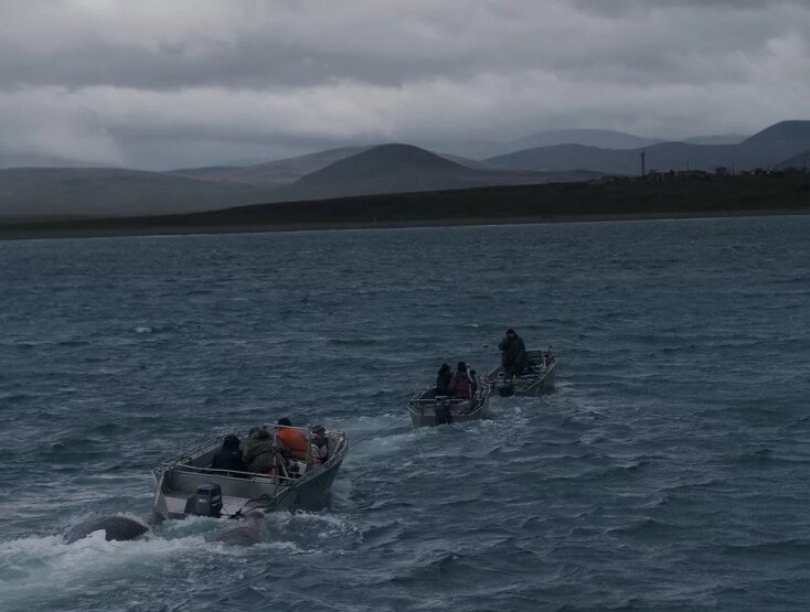 Η ταινία του Φίλιπ Γιούριεφ «Το Ταξίδι της Φάλαινας»