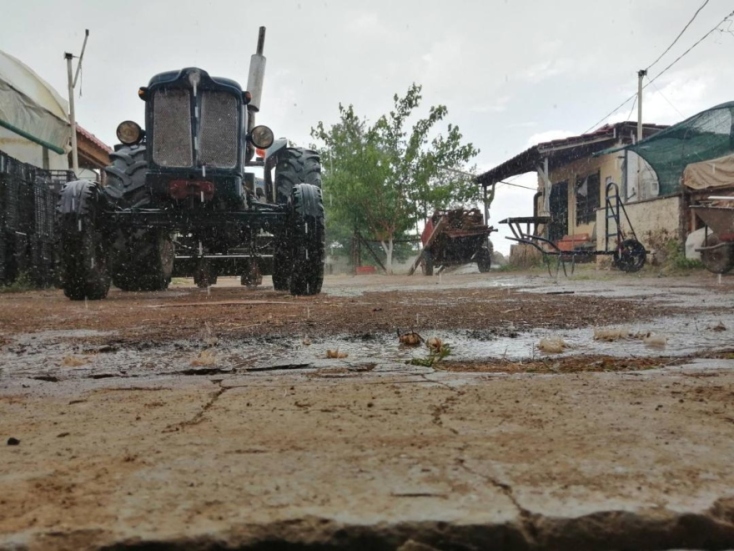 Κολοκυθοανθός