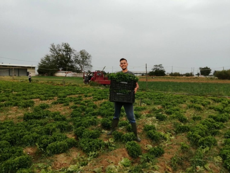 Κολοκυθοανθός