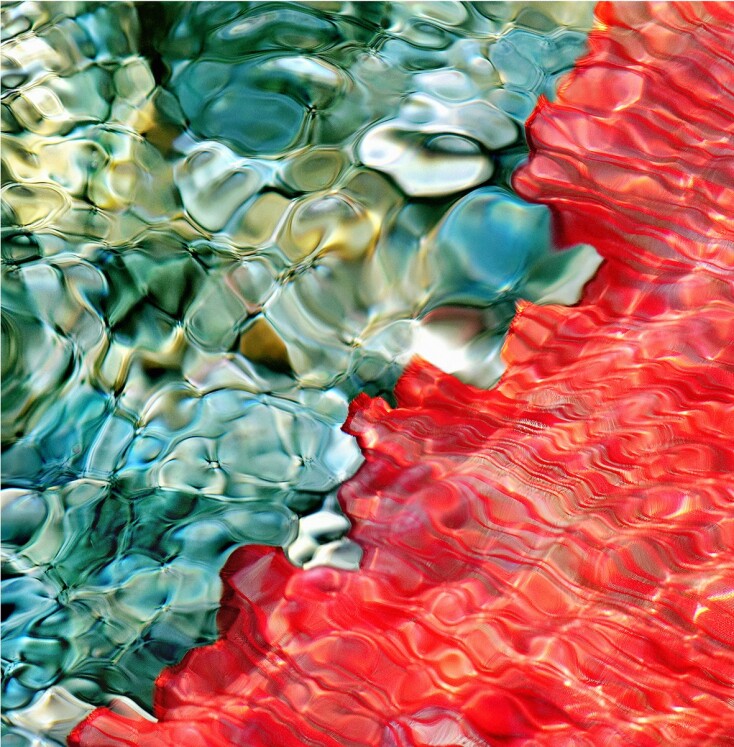 Το έργο της Κατερίνας Καλούδη, «Sea Secrets»