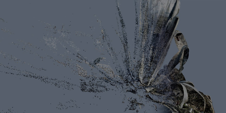 Έργο του του Sylvain Couzinet-Jacque