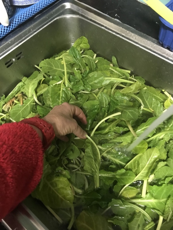 Φωτογραφία από την καθημερινότητα της Λένας Διβάνη