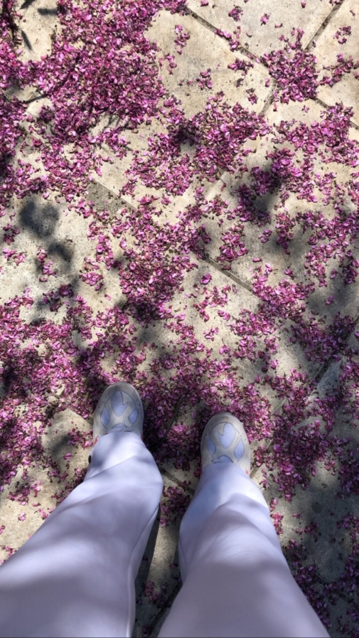 #menoumespiti με την Athens Voice: Η Τζένη Μελιτά περιγράφει πώς περνάει στο σπίτι ένα ζευγάρι με ένα σκυλί εν μέσω πανδημίας κορωνοϊού