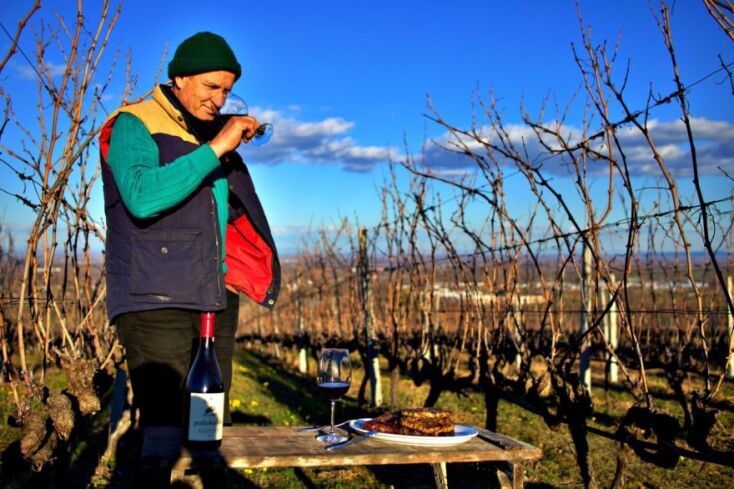 Γιάννης Δαλαμάρας