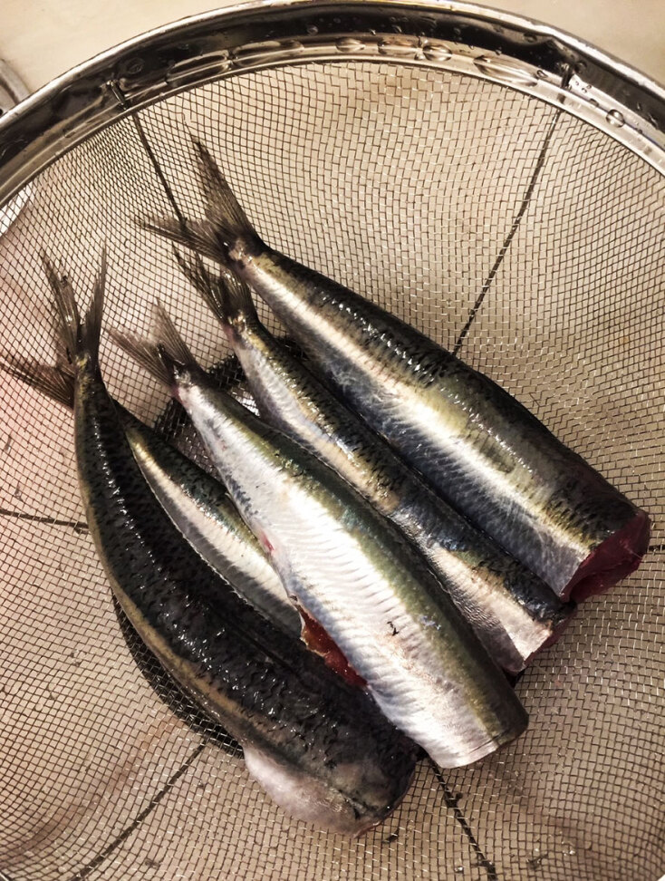 Γαύρος μαγειρεμένος με δύο τρόπους