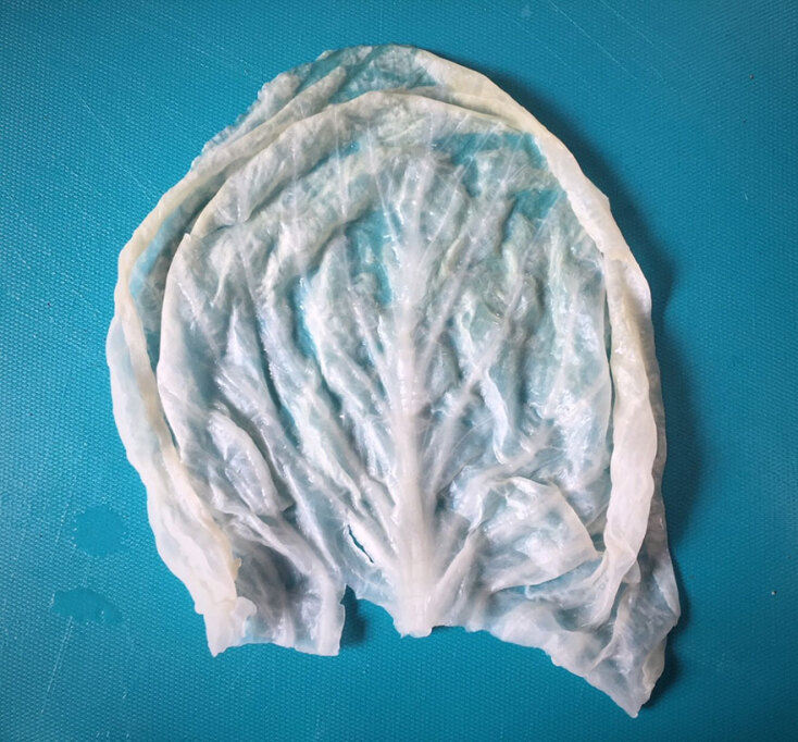 Λαχανοντολμάδες με λάχανο τουρσί