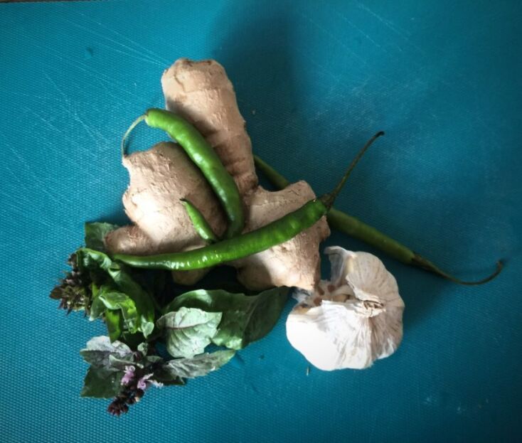 Μελιτζάνες με σκόρδο και τζίντζερ, μια καλοκαιρινή συνταγή