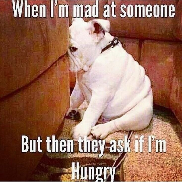 Αστεία memes, ατάκες, YOLO βίντεο, virals που ανέβηκαν στο διαδίκτυο και μας έκαναν να γελάσουμε