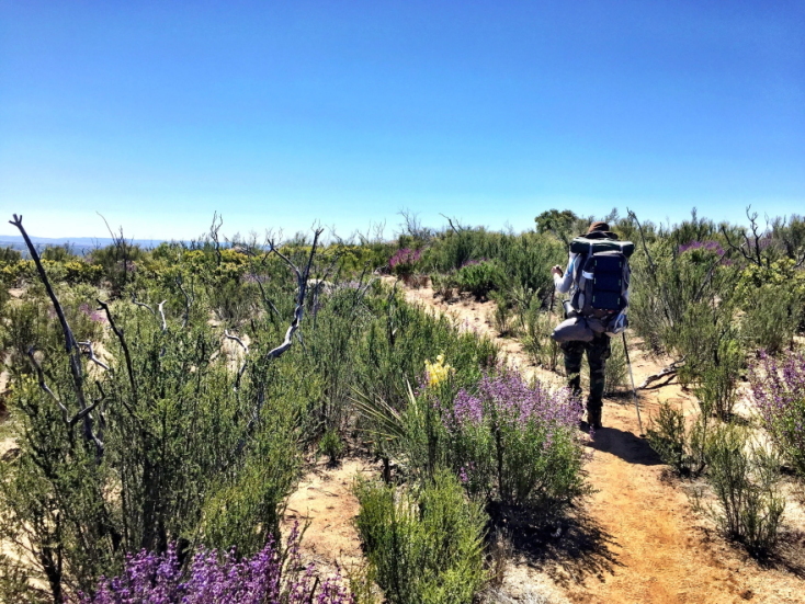 Από το βιβλίο Tim Voors. The Great Alone: Walking the Pacific Crest Trail, gestalten, 2019