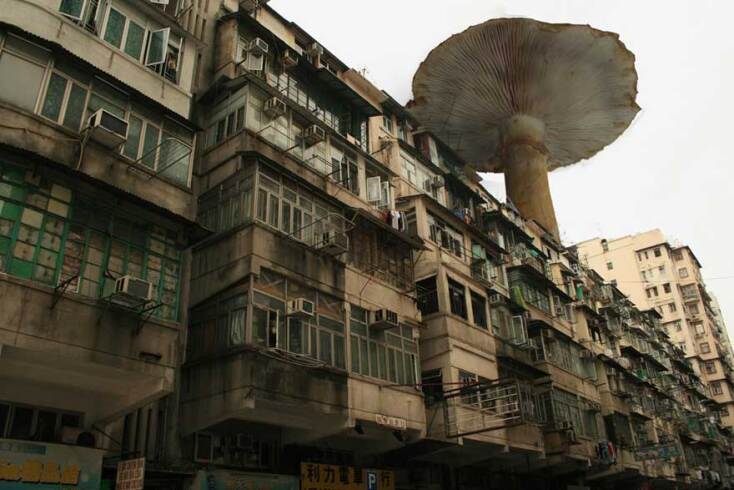 Tomorrows / Tobias Revell, New Mumbai, 2012