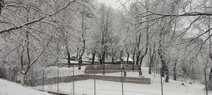 Κακοκαιρία «Διομήδης»: Άσπρισαν τα βουνά στα Τρίκαλα