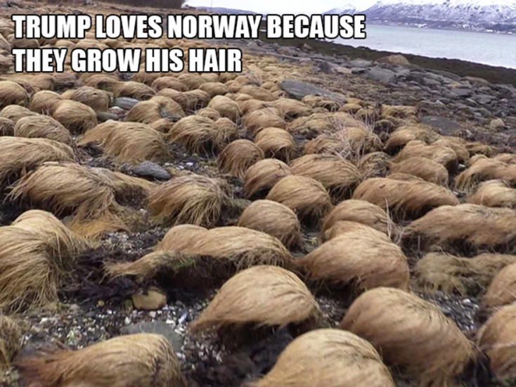 trump-hair1.jpg