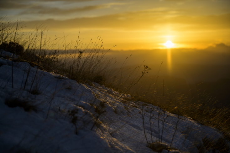 Κορνήλιος Σαραντίογλου © VertigoPro