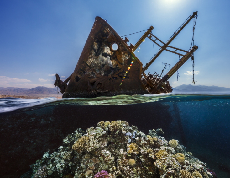 Renee Capozzola/UPY 2021