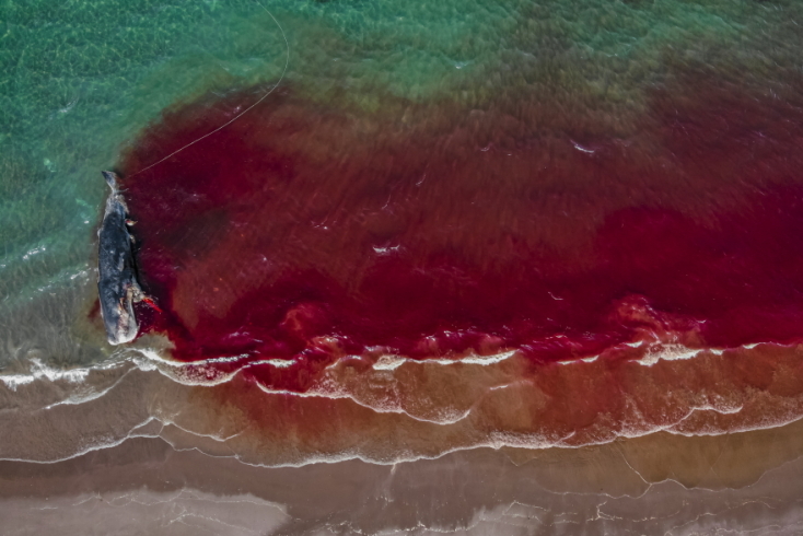 Rafael Fernandez Caballero/UPY 2021