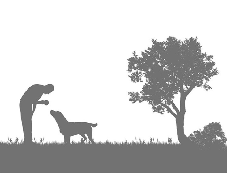 «Ο Αζόρ και ο κύριος των εννέα» της Φωτεινής Τσαλίκογλου (εκδόσεις Καστανιώτη)