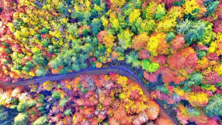 Βάλια Κάλντα