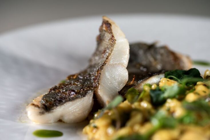 Φιλεταρισμένη σφυρίδα, φαγκρί ή χριστόψαρο με Ριζότο Μάραθο