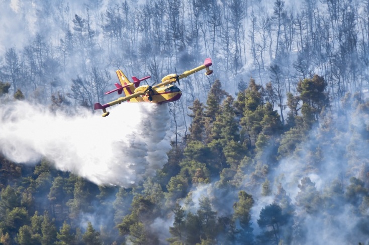 Φωτιά στα Βίλια - Εικόνα από την επιχείρηση κατάσβεσης 