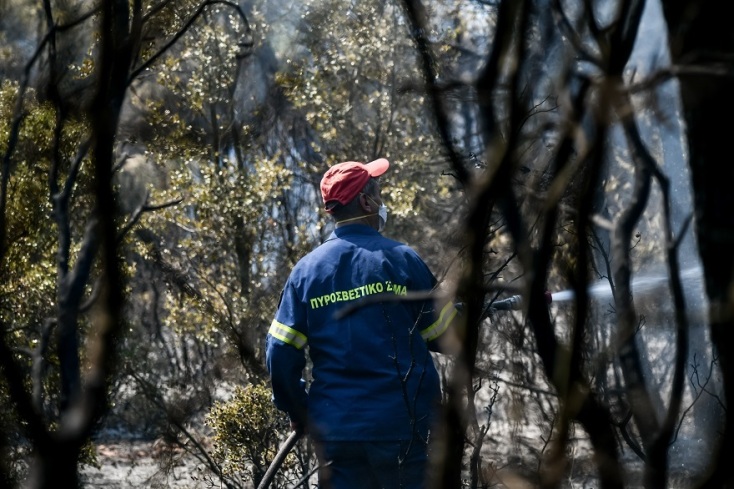 Καμένη έκταση στα Βίλια Αττικής - Σε εξέλιξη τα πύρινα μέτωπα 