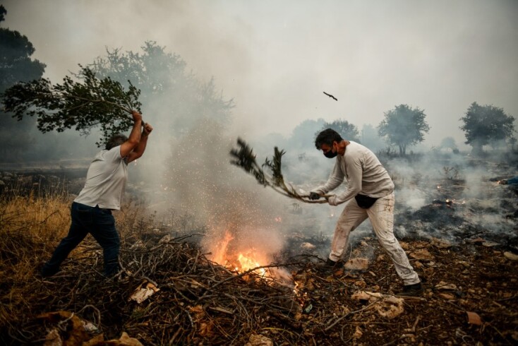 Φωτιά στα Βίλια © EUROKINISSI 