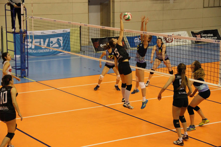 volleyball-1375499_1280.jpg