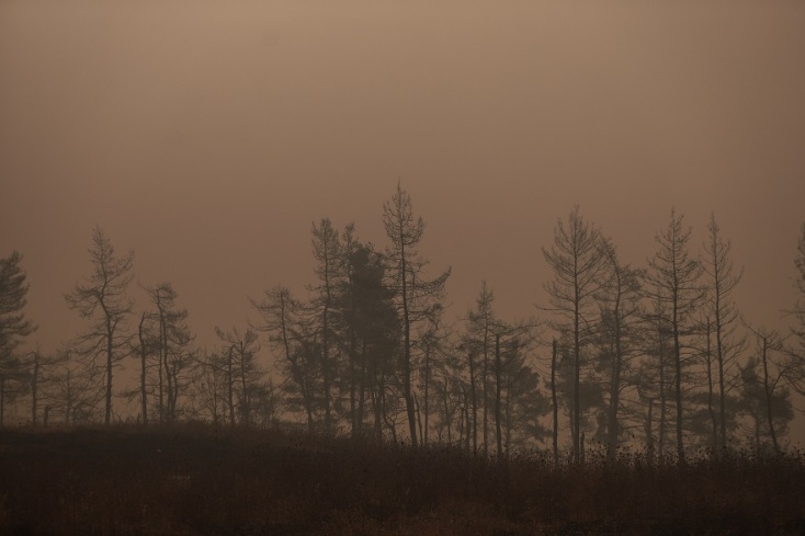 Μάχη με τις αναζωπυρώσεις δίνουν οι πυροσβέστες στη Βόρεια Εύβοια