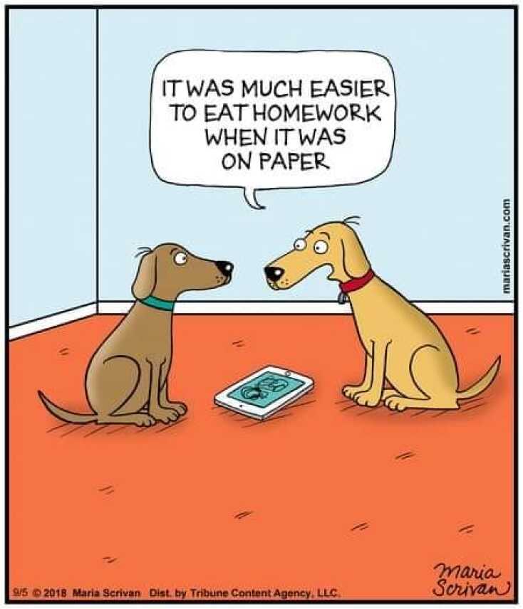 Αστεία memes, ατάκες, YOLO βίντεο, virals που ανέβηκαν στο διαδίκτυο και μας έκαναν να γελάσουμε