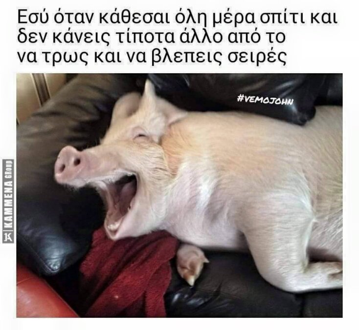 Τα yolo της Τρίτης