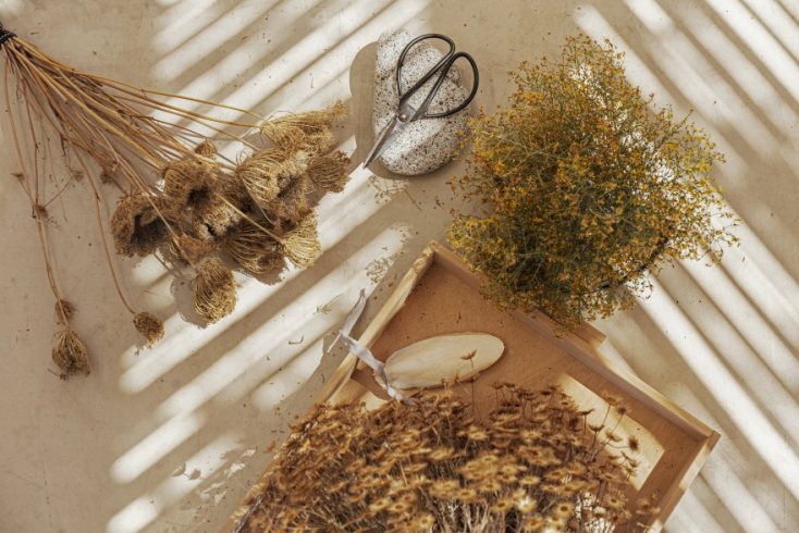 Ξερολιθιά Σέριφος