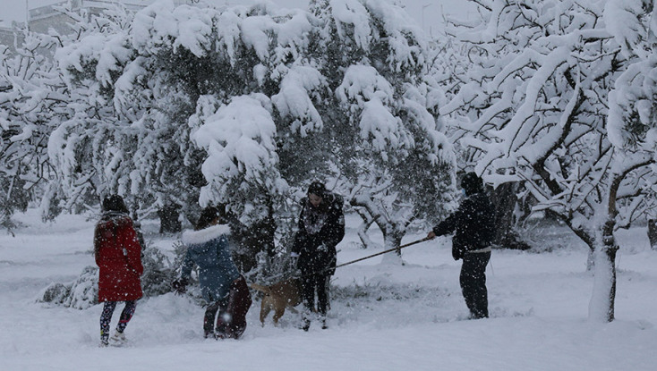 ΧΙΟΝΟΠΤΩΣΗ ΣΤΟ ΠΑΡΚΟ ΤΡΙΤΣΗ