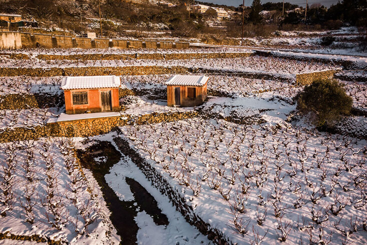 Σάμος: Χιόνι κάλυψε καλλιέργειες στην περιοχή Πλάτανος