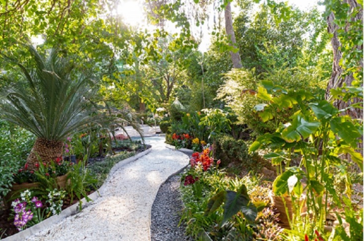 Χώρος αυλής με δέντρα και μονοπάτι