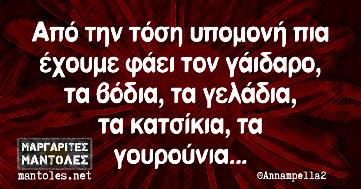 Αστεία memes, ατάκες, YOLO βίντεο, virals που ανέβηκαν στο διαδίκτυο και μας έκαναν να γελάσουμε