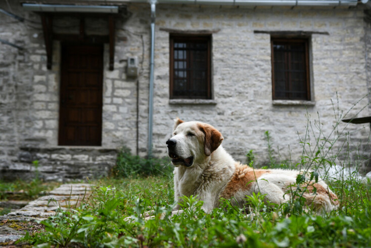 Οδοιπορικό στα Ζαγοροχώρια © Eurokinissi / Μιχάλης Καραγιάννης