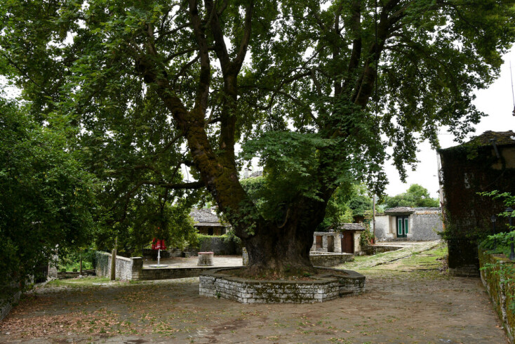 Οδοιπορικό στα Ζαγοροχώρια © Eurokinissi / Μιχάλης Καραγιάννης