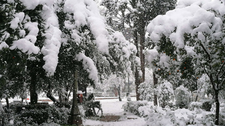 ΚΑΚΟΚΑΙΡΙΑ «ΜΗΔΕΙΑ» ΧΙΟΝΙΑ ΣΤΟ ΖΑΠΠΕΙΟ 