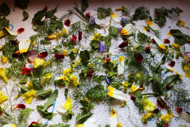 Χειροποίητες χυλοπίτες με λουλούδια