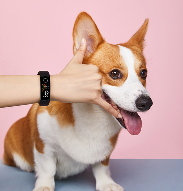 Το HONOR BAND 5 στις 24 Οκτωβρίου στην Ελλάδα