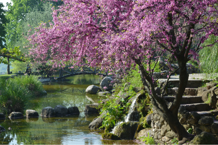 Στην Ευρωπαϊκή Διαδρομή Ιστορικών Κήπων το Δημοτικό Πάρκο Νάουσας