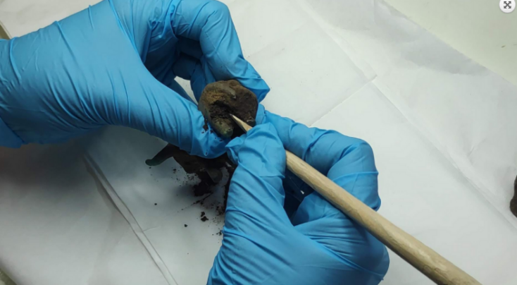 Χάλκινο ειδώλιο ταύρου