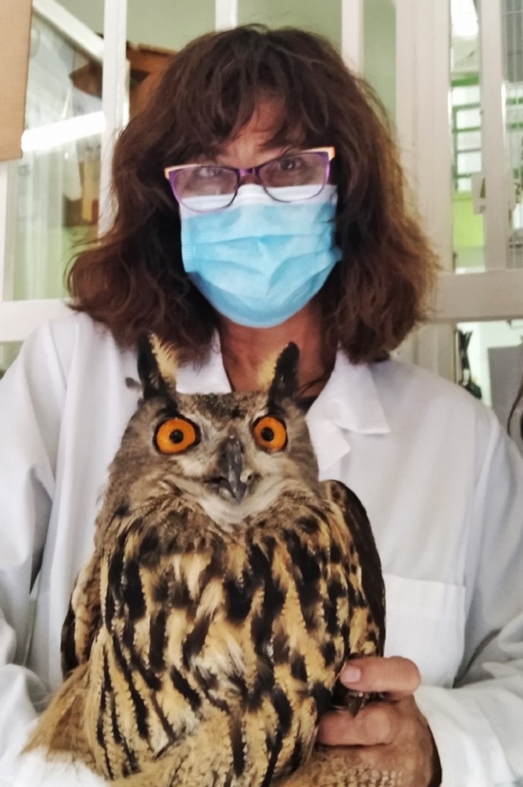 Η πρόεδρος της ΑΝΙΜΑ, Μαρία Γανωτή κρατά ένα μπούφο.