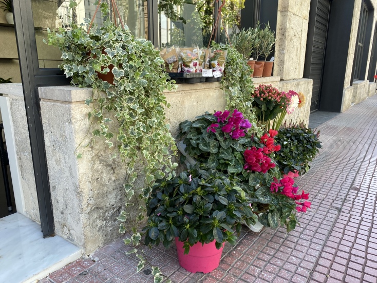 Το λουλουδάδικο του Σπύρου και της Φλοράνς Κοντογιάννη