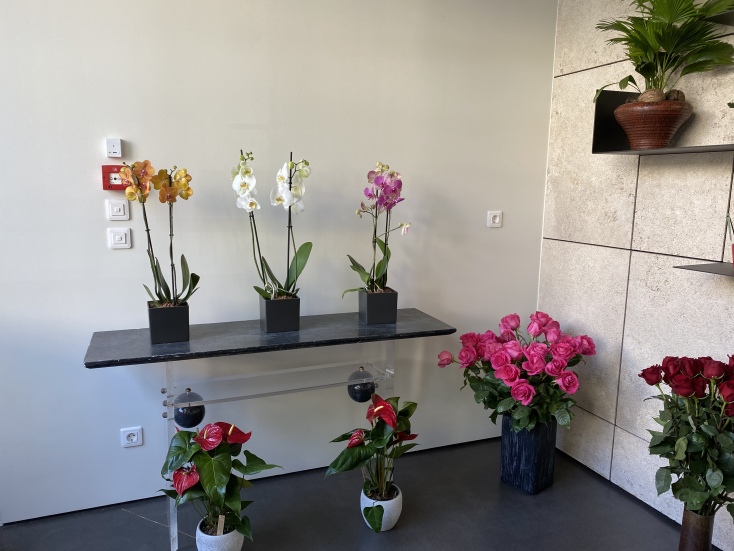 Το λουλουδάδικο του Σπύρου και της Φλοράνς Κοντογιάννη