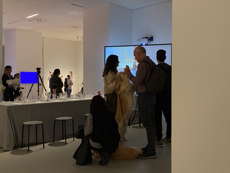 Παγκόσμια Ημέρα Αδέσποτων ζώων στο ΕΜΣΤ