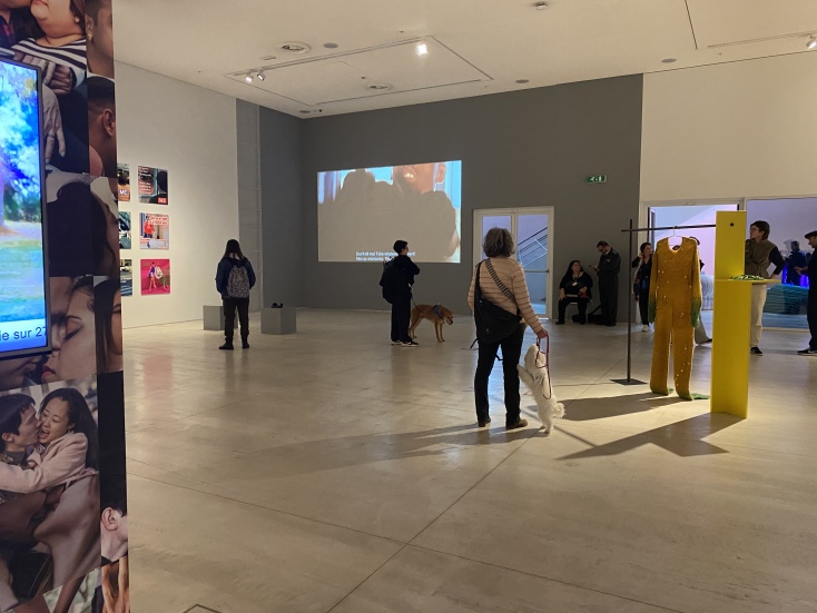 Παγκόσμια Ημέρα Αδέσποτων ζώων στο ΕΜΣΤ