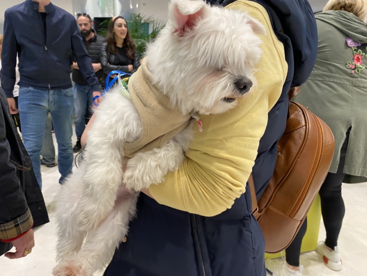 Παγκόσμια Ημέρα Αδέσποτων ζώων στο ΕΜΣΤ