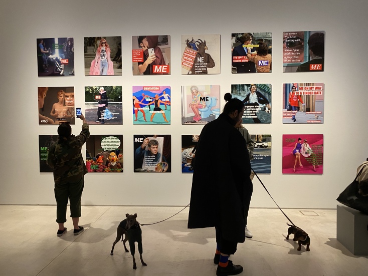 Παγκόσμια Ημέρα Αδέσποτων ζώων στο ΕΜΣΤ