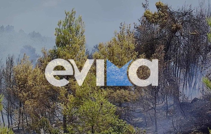 Φωτιά στην Εύβοια, κοντά στην Ιερά Μονή Αγίου Γεωργίου Άρμα