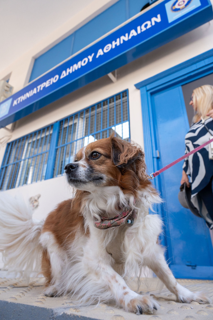 Η Αθήνα απέκτησε το πρώτο δημοτικό κτηνιατρείο - Φροντίδα και δωρεάν ιατροφαρμακευτική περίθαλψη - Κώστας Μπακογιάννης: Σηματοδοτεί τον πολιτισμό στην πράξη.